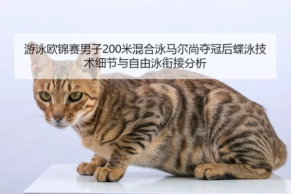 you-yong-ou-jin-sai-nan-zi-mi-hun-he-yong-ma-er-shang-duo-guan-hou-die-yong-ji-shu-xi-jie-yu-zi-you-yong-xian-jie-fen-xi-2-405.jpg
